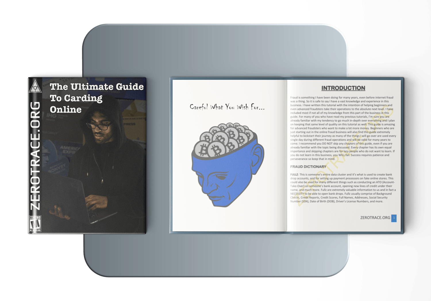 The Ultimate Guide To Carding Online: 2nd Edition